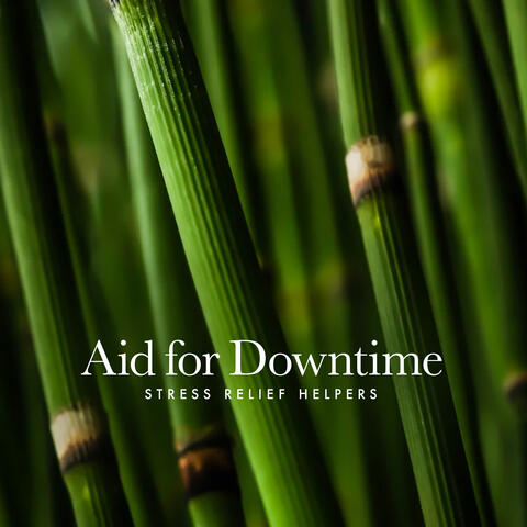 Aid for Downtime