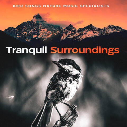 Tranquil Surroundings
