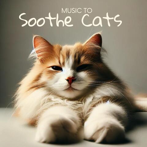 Music to Soothe Cats