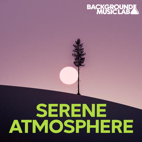 Serene Atmosphere