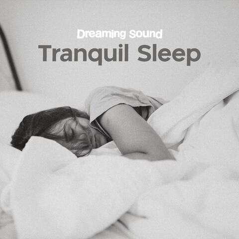 Tranquil Sleep