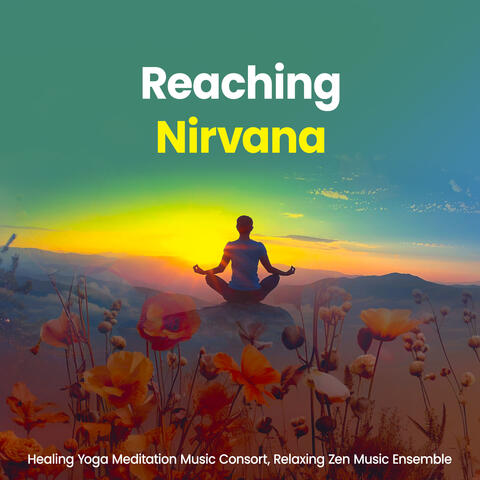 Reaching Nirvana
