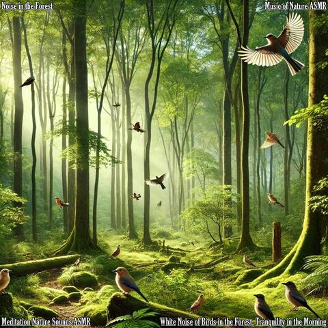 White Noise of Birds in the Forest, Tranquility in the Morning