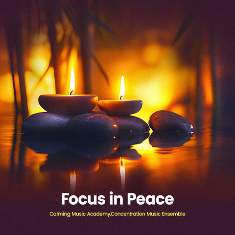 Focus in Peace