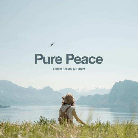 Pure Peace