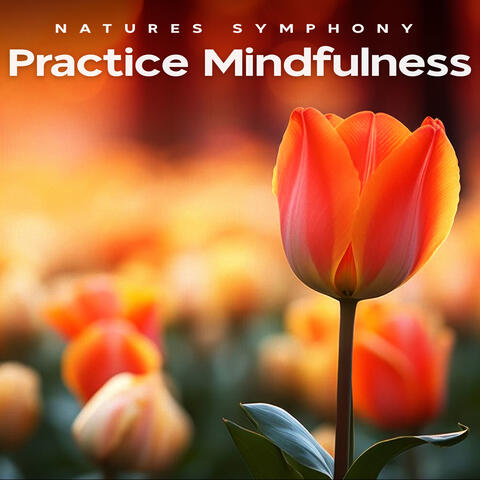 Practice Mindfulness