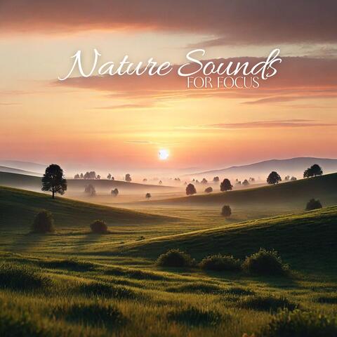 Nature Sounds for Focus: Achieve the State of Concentration and Boost Your Productivity