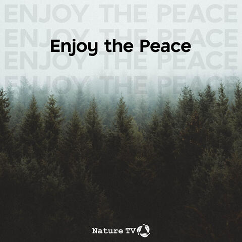 Enjoy the Peace