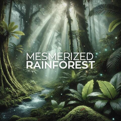 Mesmerized Rainforest: Tropical Nature Sounds for Relaxation
