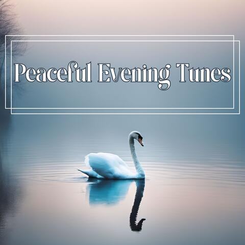 Peaceful Evening Tunes: Relaxing Harmonies for Deep Sleep and Comfort