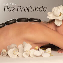 Circuit Constitution