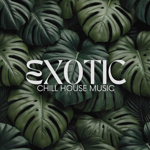 Tropical Chill Music Land