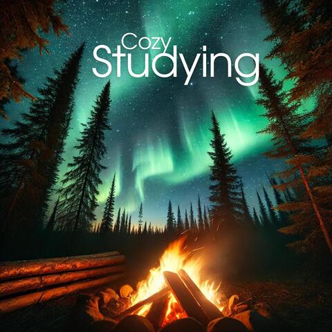 Cozy Studying: Campfire Ambience with Guitar Sounds for Deep Focus