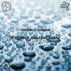 Tree Sunday