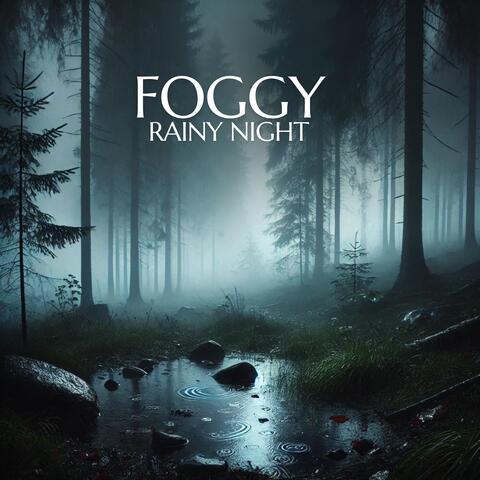 Foggy Rainy Night: Perfect Ambience for Calm Sleeping