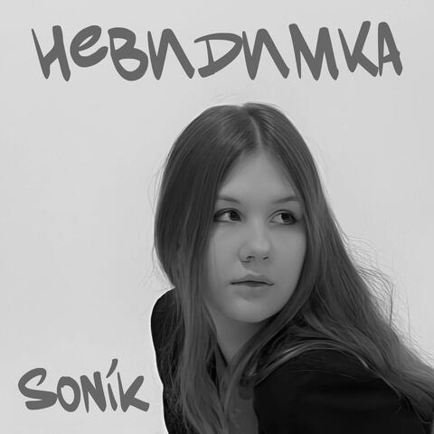 Невидимка