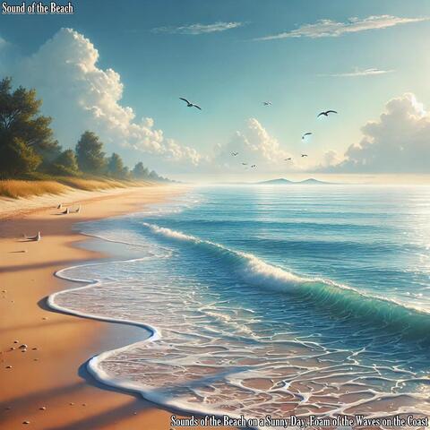 Sounds of the Beach on a Sunny Day, Foam of the Waves on the Coast