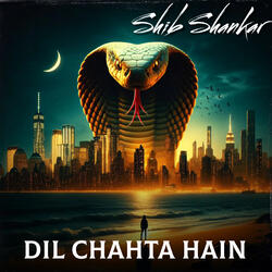 Indian Dhol or Setar