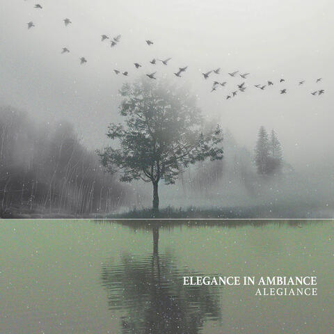 Elegance in Ambiance