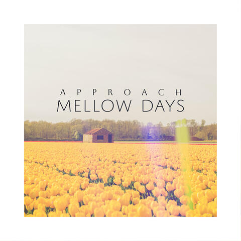 Mellow Days