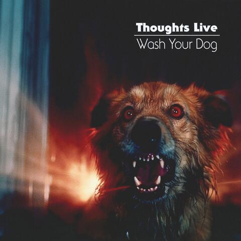 Wash Your Dog
