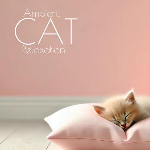 Ambient Cat Relaxation: Midnight Sleeping, Cat Music, Meditation Wellness for Cats