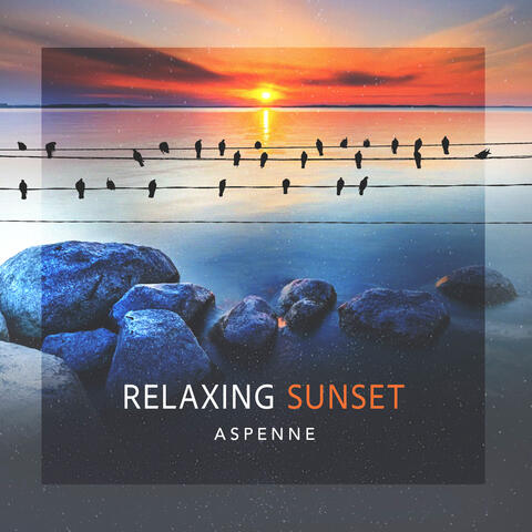 Relaxing Sunset