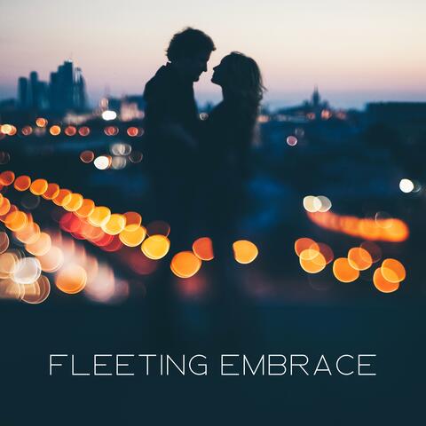 Fleeting Embrace: Night of Tenderness