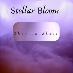 Shining Skies