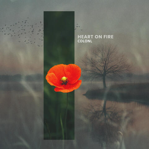 Heart On Fire