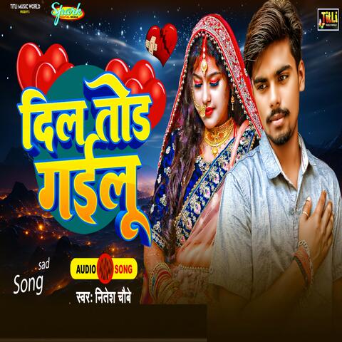 Dil Tod Gailu