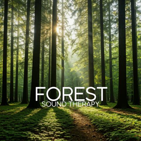 Forest Sound Therapy