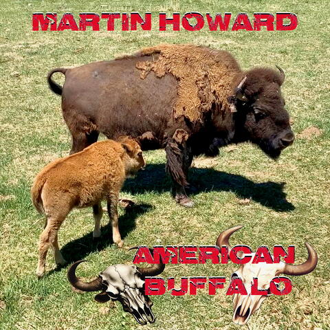 American Buffalo