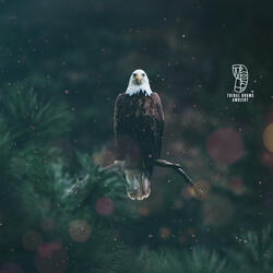 Fire Dance Under Moonlight