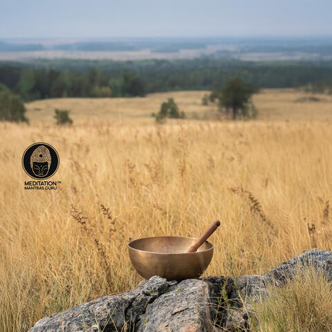Tibetan Bowls Bath: Healing Buddhist Journey with Meditation