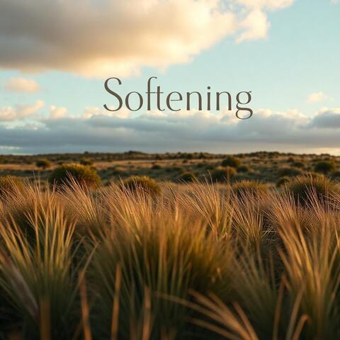 Softening: Relaxing Music to Calm Your Nervous System