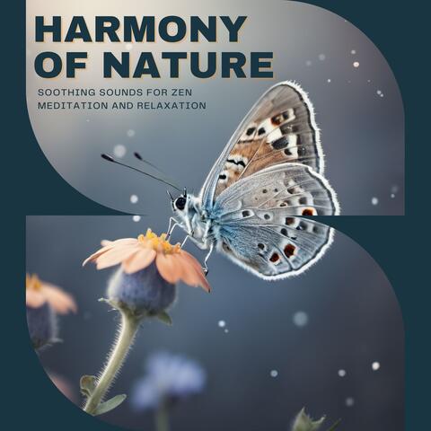 Harmony of Nature: Soothing Sounds for Zen Meditation and Relaxation