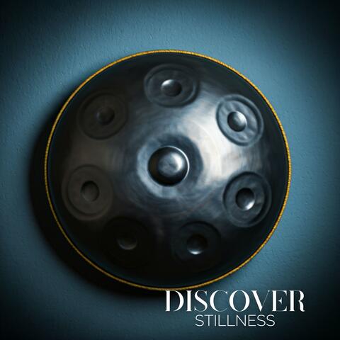 Discover Stillness: Relax Your Body and Mind with the Hang Drum