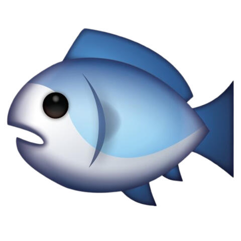 Fish...