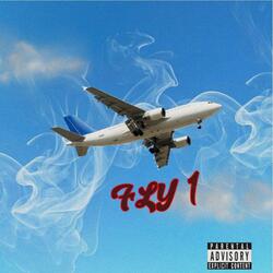 Fly 1