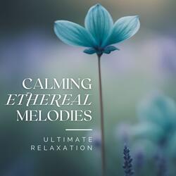 The Sound of Solace