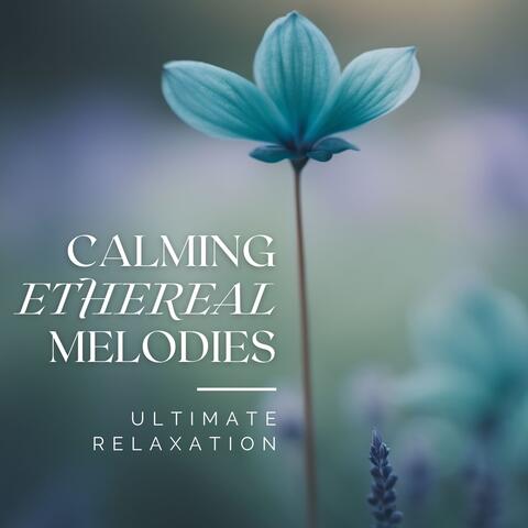 Calming Ethereal Melodies: Ultimate Relaxation & Peaceful Stress Reduction