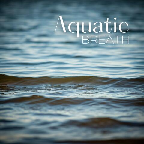 Aquatic Breath: Gentle Waves Restore Your Peace Within