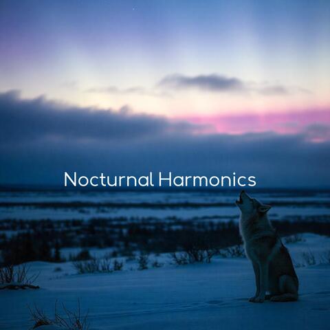 Nocturnal Harmonics: A Journey into Dream with Sleepy Piano