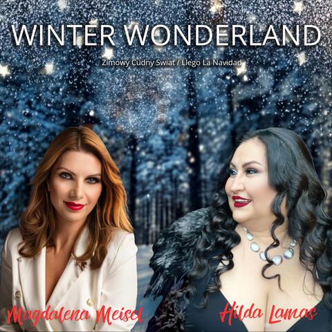 Winter Wonderland