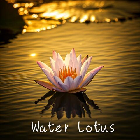 Water Lotus: Crystal Zen Meditation and Relaxation