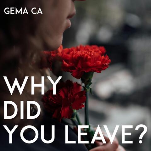 Why Did You Leave?