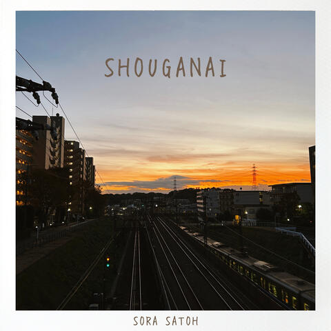 Shouganai