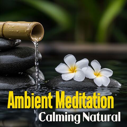 Ambient Meditation Calming Natural