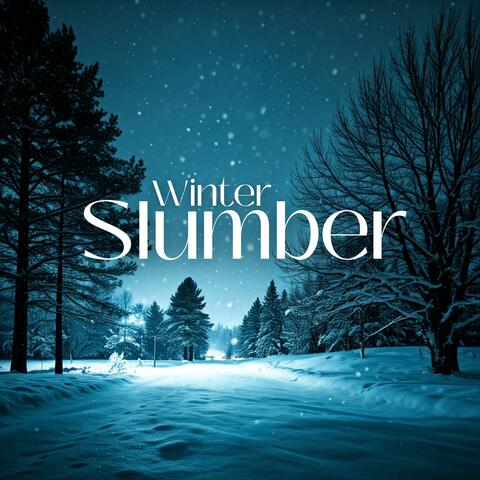 Winter Slumber: Relaxing Sleep Music for Cold Snowy Days